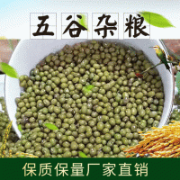 五谷杂粮绿豆 优良饱满绿豆五谷杂粮豆子 易煮烂包装绿豆