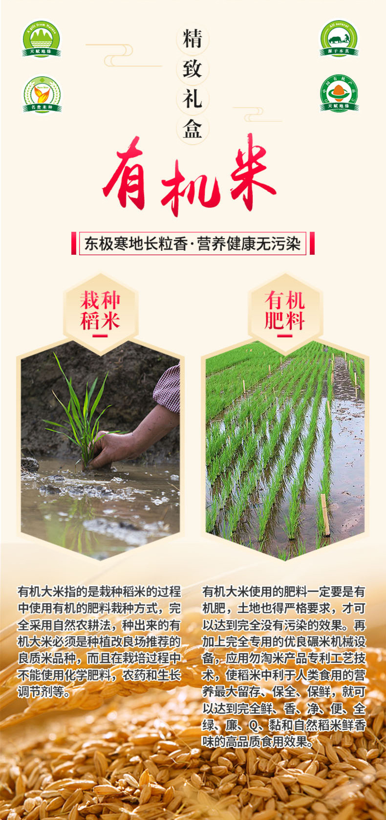 礼盒有机长粒香_04.jpg