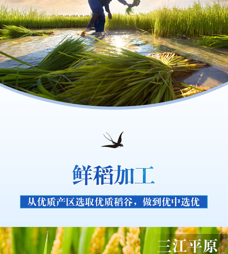 普通珍珠米蓝袋_07