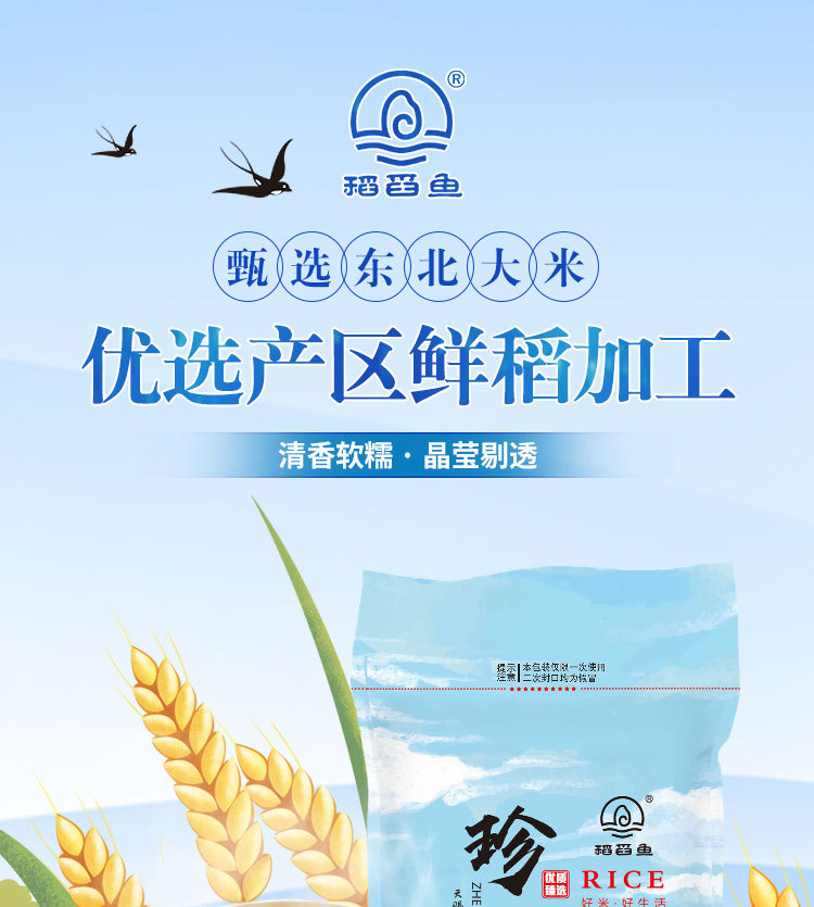 普通珍珠米蓝袋_01