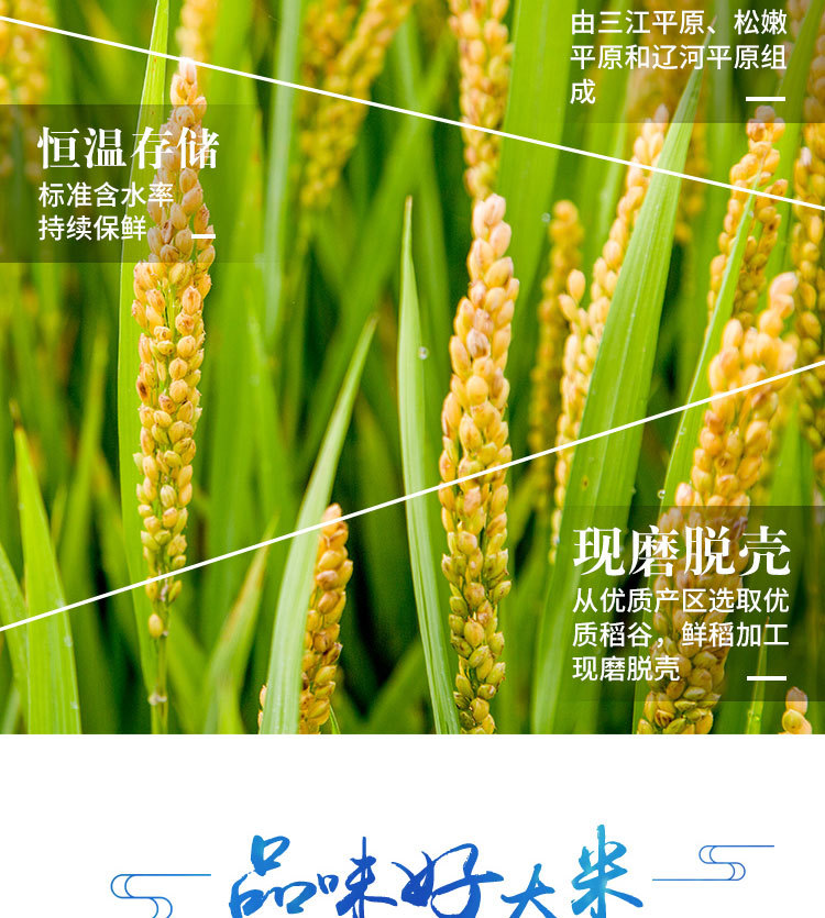 普通珍珠米蓝袋_08