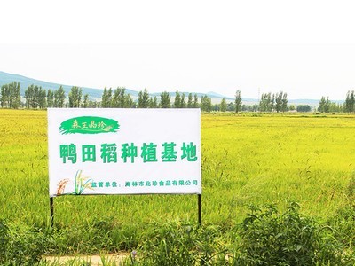 厂家批发东北米寿司米5斤雪乡小町米2.5kg东北大米粳米黑龙江新米图3
