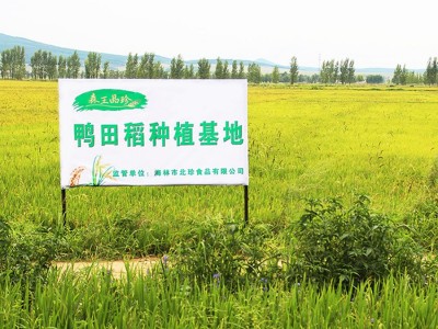 厂家批发东北大米2.5kg圆粒珍珠米5斤黑龙江农家新米食堂采购图3