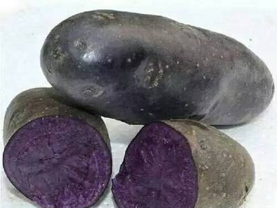 金满地批发黑金刚土豆 新鲜紫色土豆 紫皮紫心土豆图4