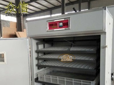 小型孵化机528枚 全自动家禽孵化机 鸡孵化器 鸭鹅孵化机孵化设备图5