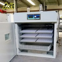 家用鹅拔毛机60型50型不锈钢脱毛机家禽鸡鸭拔毛机65型鸡鸭脱毛机