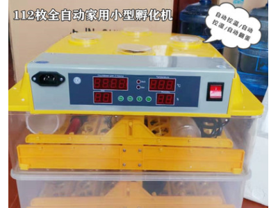 小型孵化机72枚小鸡孵化器 不怕停电孵化机 全自动家用小型孵蛋器图2