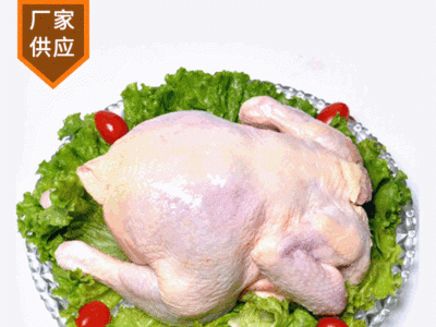 厂家供应农家散养老母鸡 餐饮吊汤热菜用老母鸡 新鲜冷冻母鸡图5