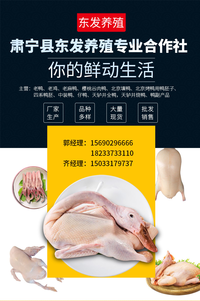 套版新_01
