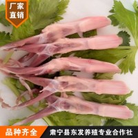 批发供应酒店餐厅用鸭舌批发冷冻鲜鸭舌 食品鲜鸭舌