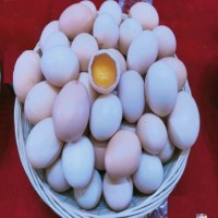 资源县生态散养土鸡蛋新鲜鸡蛋柴鸡蛋生鸡蛋1箱30枚