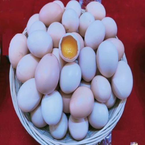 生态土鸡蛋1