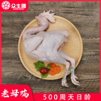 老母鸡冷冻鸡新鲜现杀鸡肉冻货农家散养鸡量大从优厂家直供