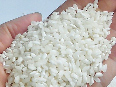桂朝米50kg 制作米粉米糕米线肠粉用大米 厂家直销 大米 桂朝大米图2