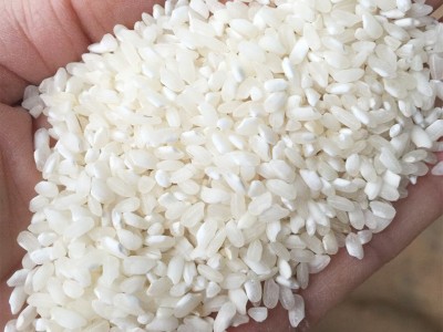 桂朝米50kg 制作米粉米糕米线肠粉用大米 厂家直销 大米 桂朝大米图3