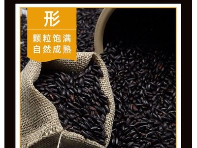 厂家直供1斤500g杂粮有机定制黑米豆浆煲粥原料2021五谷现货批发图3