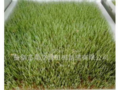 家用全自动豆芽机多少钱临沂地区智能型小型豆芽机豆制品机械厂家图3