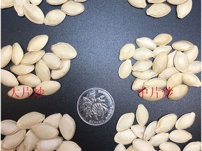 散装大片中片生南瓜子 水煮南瓜子 沙炒原味南瓜子 可做种子图2