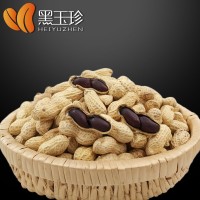 【黑花生源头厂家直供】黑花生生果500g 新货 带壳生的 批发价