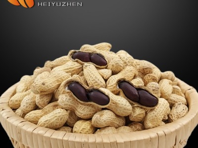 【黑花生源头厂家直供】黑花生生果500g 新货 带壳生的 批发价图5