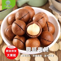 大颗粒奶香味夏威夷果云南坚果新货240g袋装原味干果孕妇零食炒货