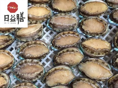 海鲜活冻纯鲍鱼肉 鲍鱼仔 黄金鲍鱼 新鲜鲍鱼 批发 御和贸易图5