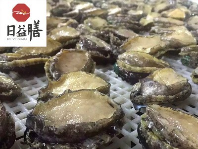海鲜活冻纯鲍鱼肉 鲍鱼仔 黄金鲍鱼 新鲜鲍鱼 批发 御和贸易图3