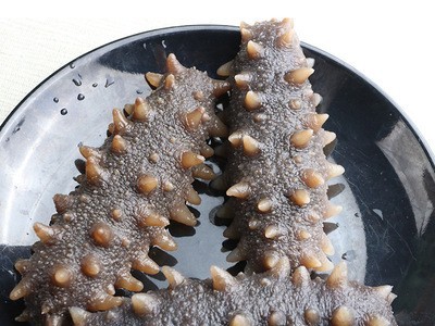 御和贸易大连冷冻即食海参批发工厂直销 大连即食海参500克 1斤装图4