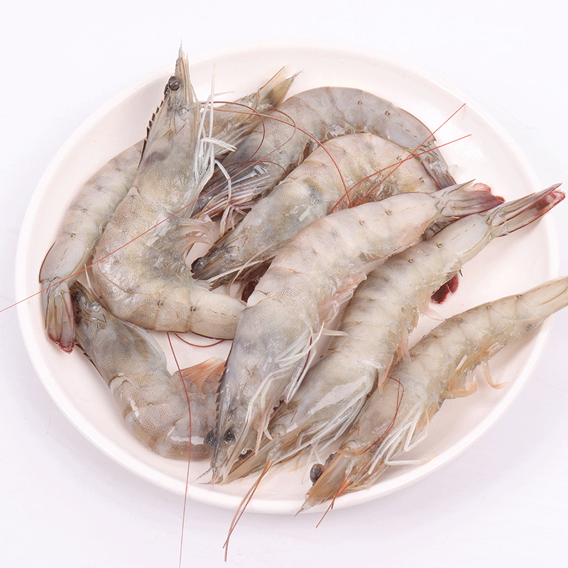 青虾1