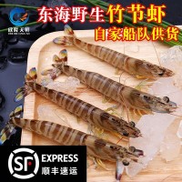 欣隆天鲜 野生竹节虾东海大虾 鲜活海鲜新鲜九节虾斑节虾老虎虾