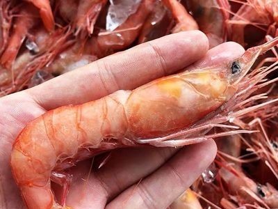 东海船捕大虾红头虾鲜活冷冻红虾深海船捕舟山大头虾剑虾500g图2