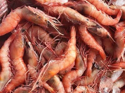 东海船捕大虾红头虾鲜活冷冻红虾深海船捕舟山大头虾剑虾500g图3
