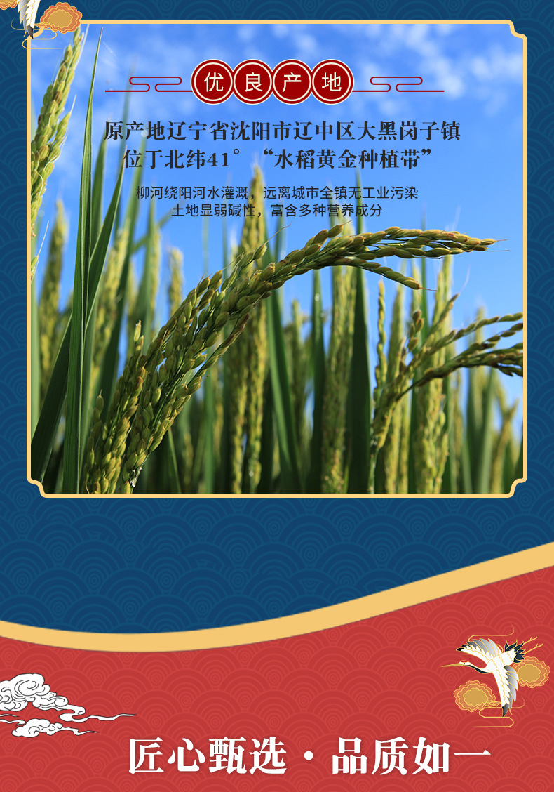 沈阳市辽中区鸿腾杂粮种植专业合作社-2(1)_07