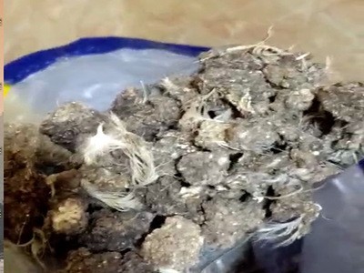 河北深泽干鸡粪块 块状鸡粪 改良土壤肥料图5