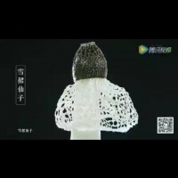 竹荪