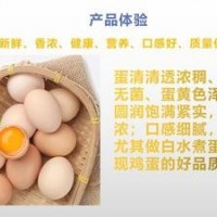 批发出口三同标准优质新鲜鸡蛋360枚不併价只併蛋蛋质量、人安心
