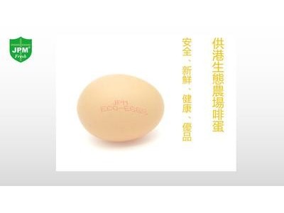 供港ECO-EGG生食鸡蛋A级JPM清洁新鲜10枚谷物营养富含膳食纤维图3