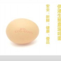 供港ECO-EGG生食鸡蛋A级JPM清洁新鲜10枚谷物营养富含膳食纤维