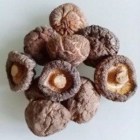 干香菇菌丝鲜亮 色泽然 干度好 易于保存 脱水剪脚肉厚干香菇