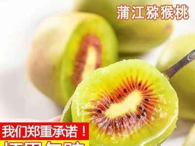 现摘红心猕猴桃四川浦江猕猴桃孕妇水果批发新鲜奇异果非徐香翠香图5