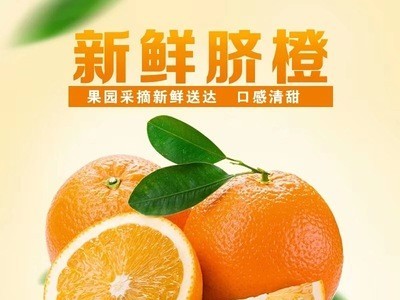 江西赣南脐橙新鲜脐橙10斤装江西脐橙麻阳冰糖橙伦晚脐橙一件代发图5