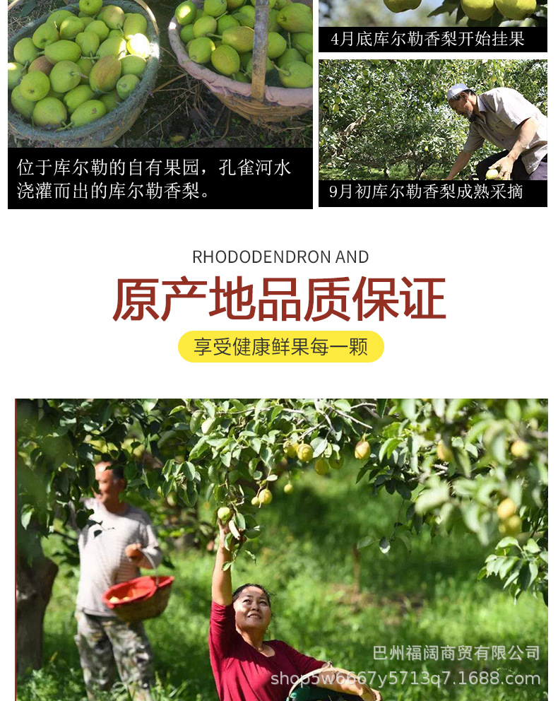 香梨详情页_08.jpg