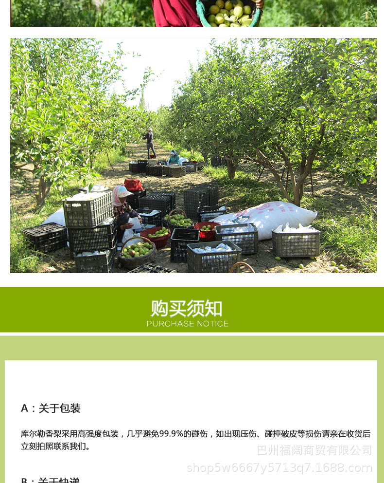 香梨详情页_09.jpg