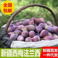 新疆喀什西梅法兰西纯甜李子欧洲李新鲜应季水果孕妇儿童一件代发