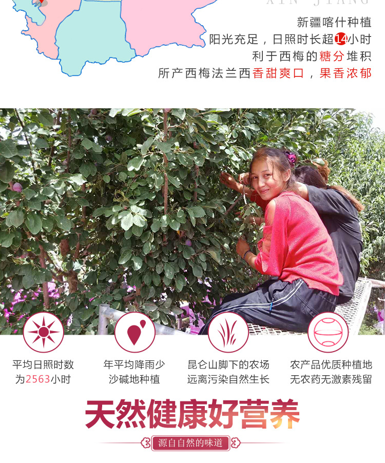 西梅详情_04