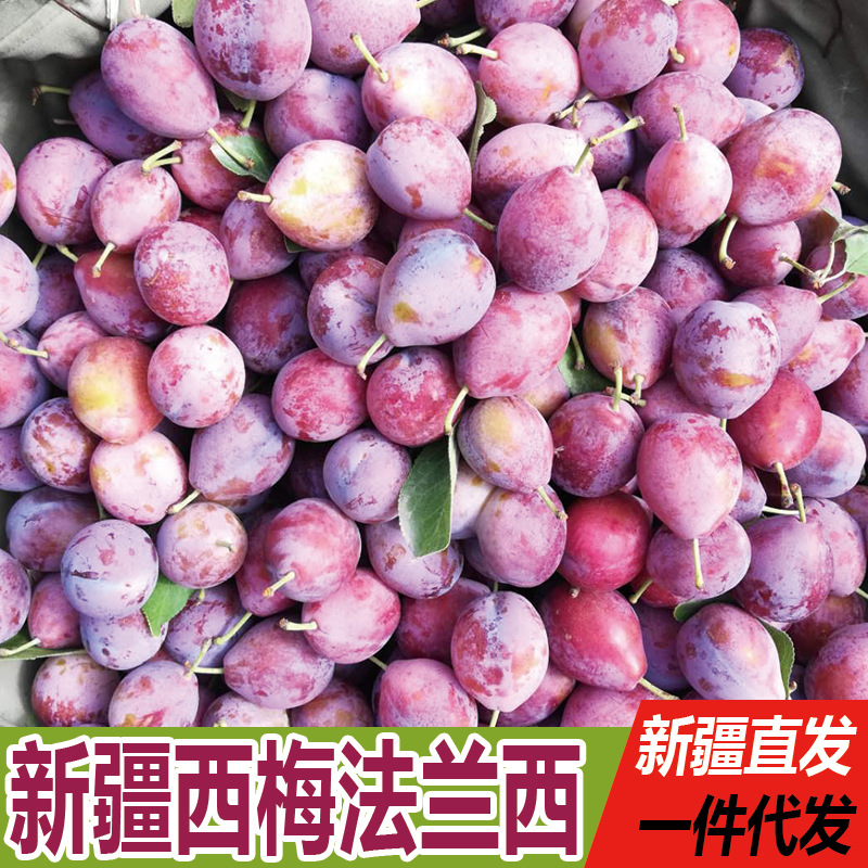 主图1