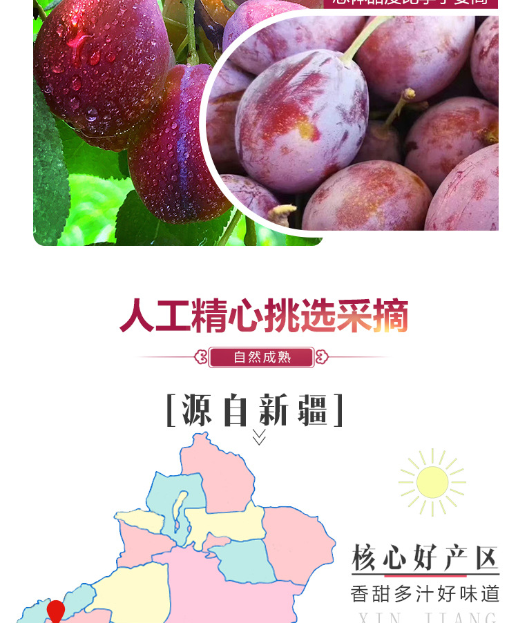 西梅详情_03