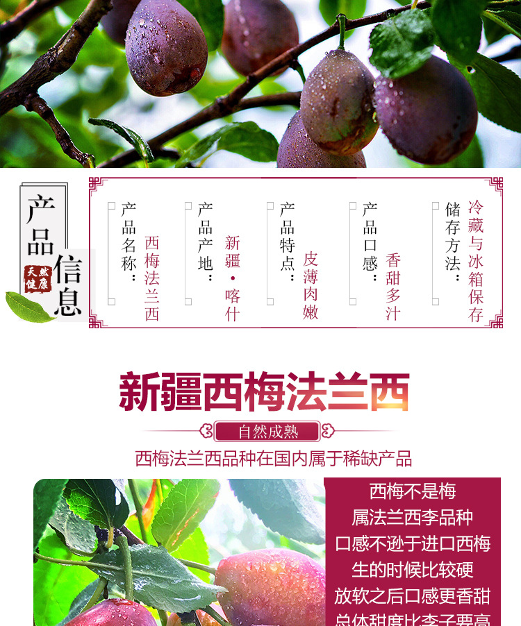 西梅详情_02