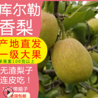 新疆特产库尔勒香梨全母梨新鲜当季水果现摘现发整箱批发一件代发