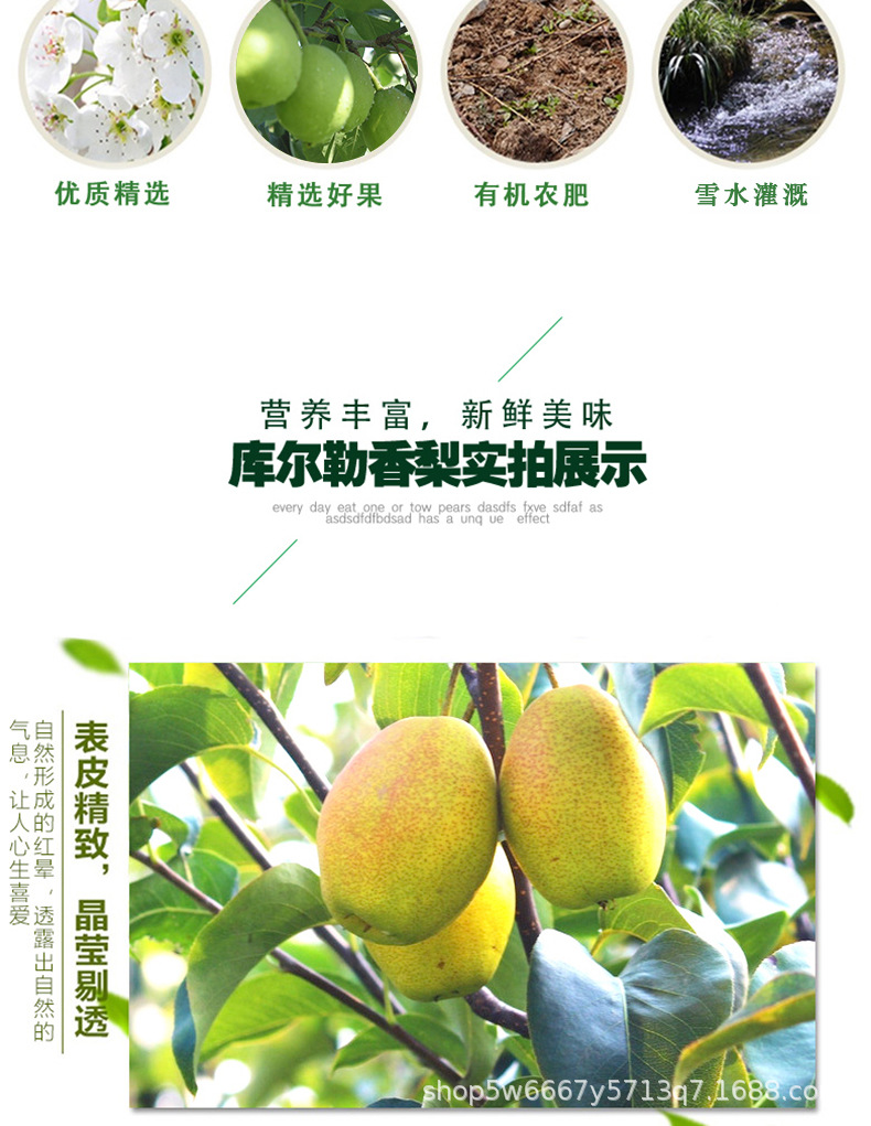 香梨详情页_03.jpg